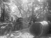 j-r-kirk-standing-on-log-from-ferry-point-1940-img328