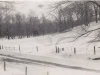 image1-13