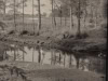 image1-33