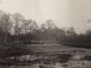 image1-35