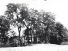 image1-39