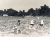 Digging-potatoes-cedar-brook-farm-img099