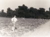 digging-potatoes-cedar-brook-img100