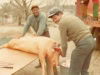 hog-killing-millard-winslow-img110