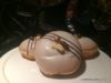 Krispy Kreme 12