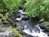1small_DSC_1505.JPG