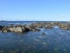 4small_DSC_2606.JPG