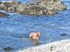 4small_DSC_2608.JPG