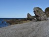 4small_DSC_2609.JPG