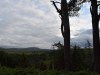 4small_DSC_2663.JPG