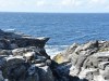 3small_DSC_2584.JPG