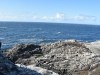 3small_DSC_2589.JPG