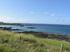 3small_DSC_2598.JPG