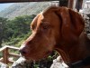1small_DSC_4864.JPG