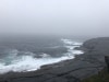 IMG_0750