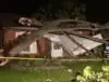 tree fell on property what to do
