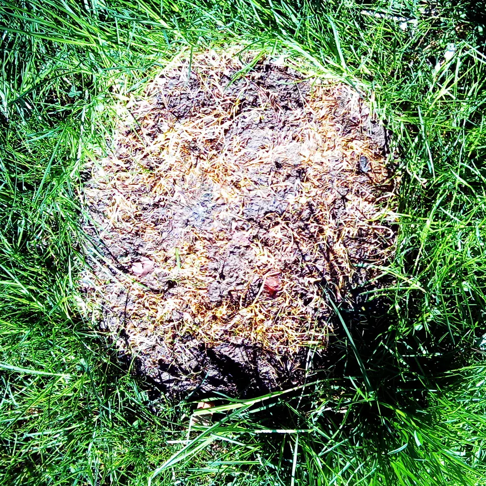 Quadrat13 Grosenveranderung