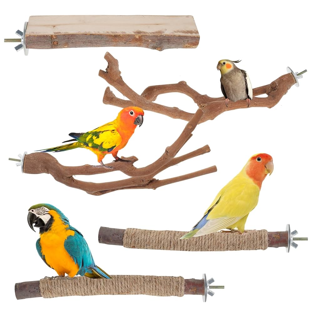 A Bird Perch