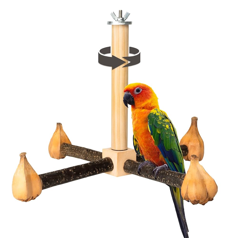 Bird Toys for Conures