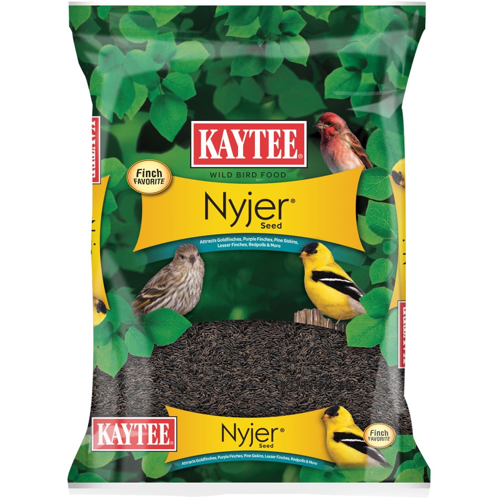 What Bird Seed Attracts Finches