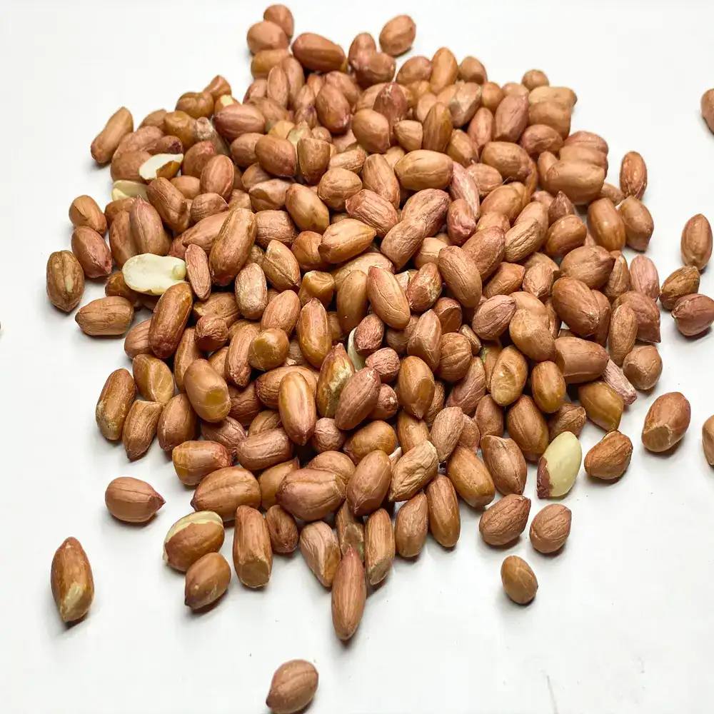 Арахіс сирий - Зображення 1