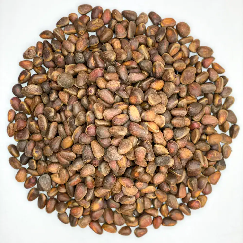 Кедровий горіх в шкаралупі - Зображення 1