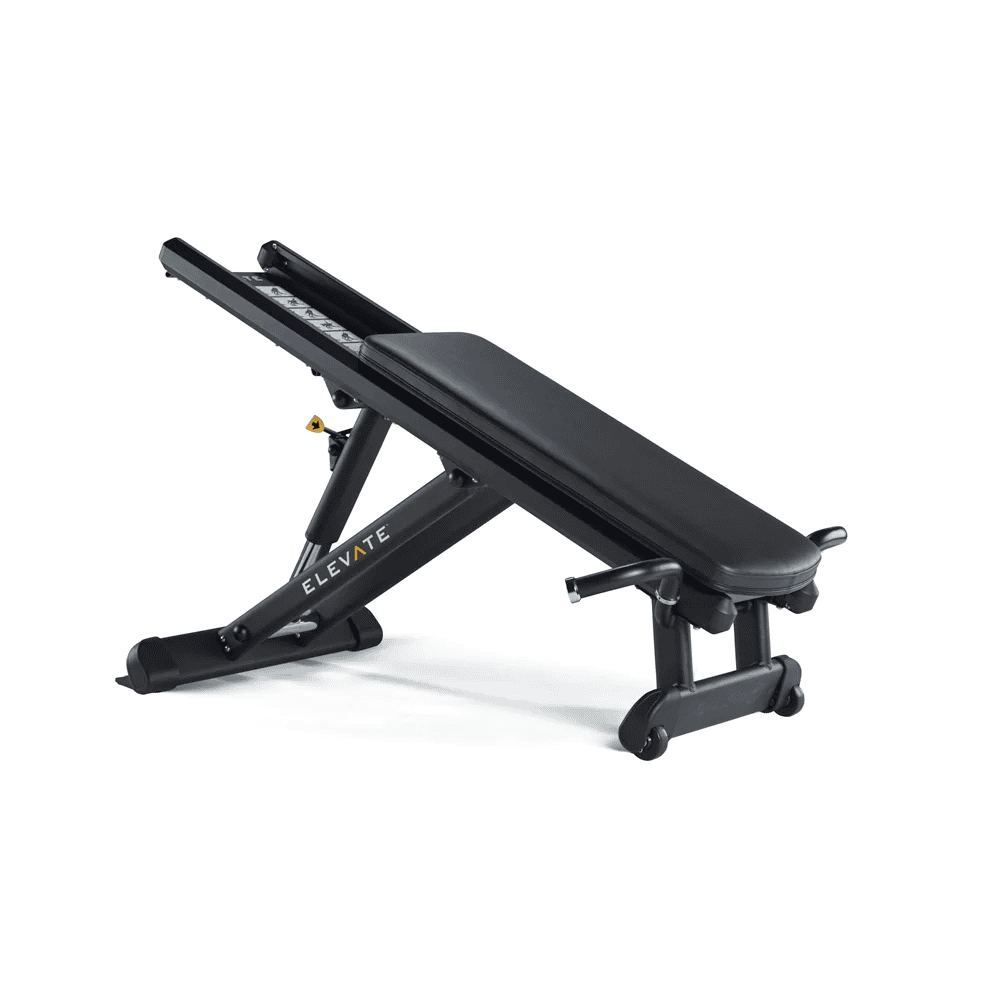 Expert Fitness Supply Gym Equipment