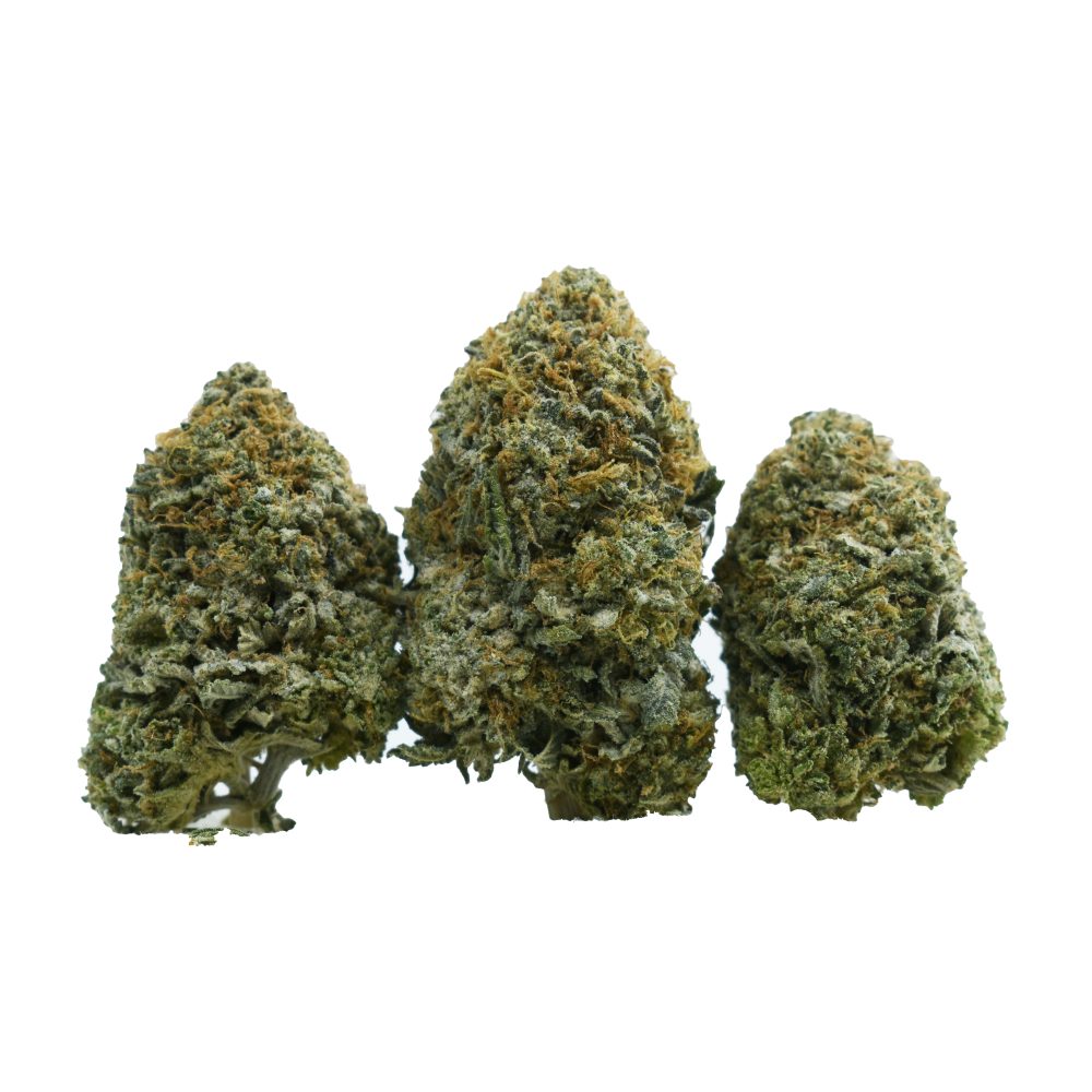 Comatose OG AAAA dense indica cannabis flower buds