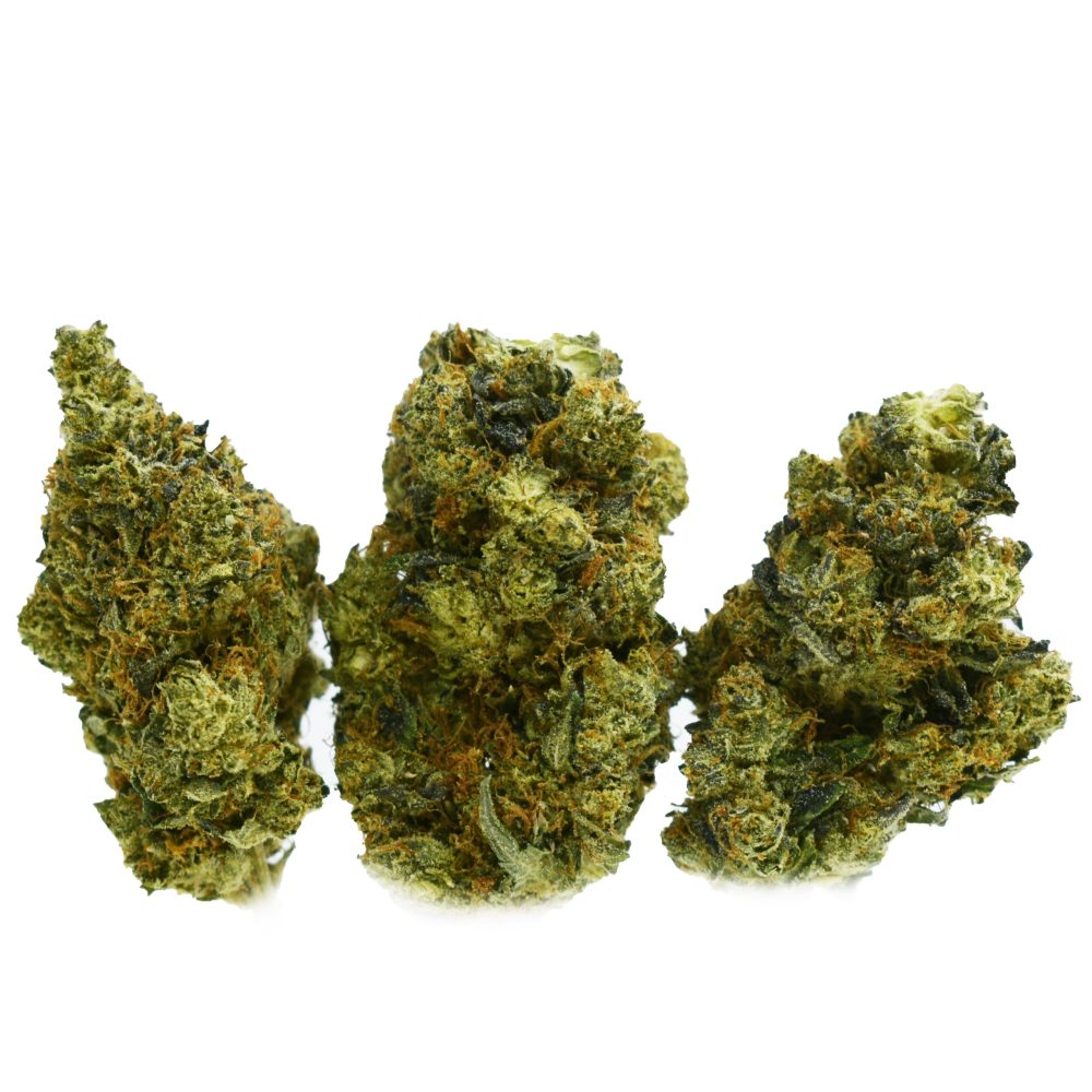 Purple Dragon strain - sativa-dominant hybrid with balanced THC and CBD content.