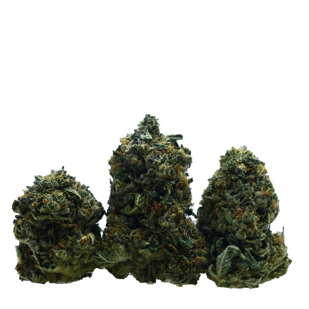 Silver Haze Strain, sativa-dominant hybrid, Bright green buds with sweet pine aroma,