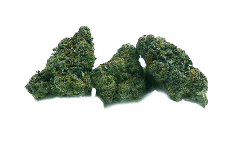 Cinderella 99 strain - sativa-dominant hybrid with uplifting effects and fruity flavors.