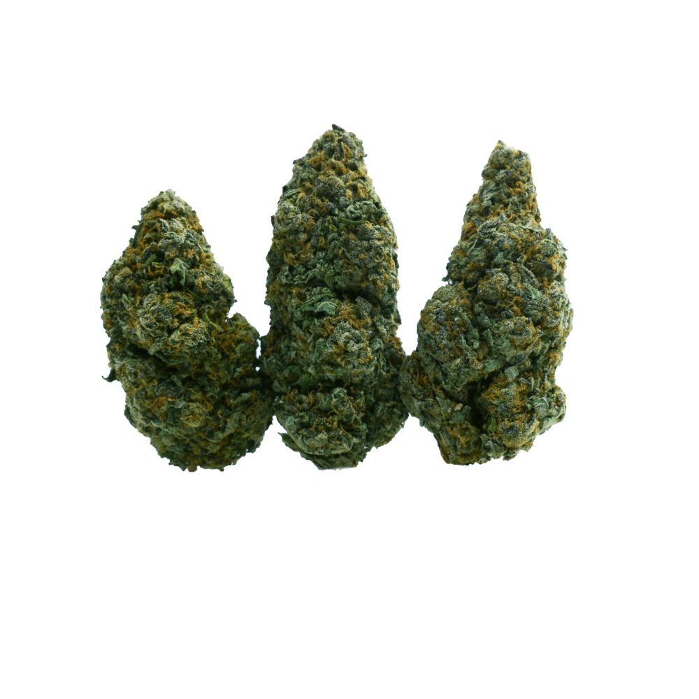Space Jam Cannabis Strain – Best sativa for daytime energy with sweet blueberry flavour and uplifting effects.