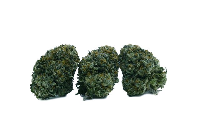 Lava Cake strain King Craft Cannabis with dense olive green buds, orange hairs, and frosty trichomes offering a sweet, chocolaty flavour.