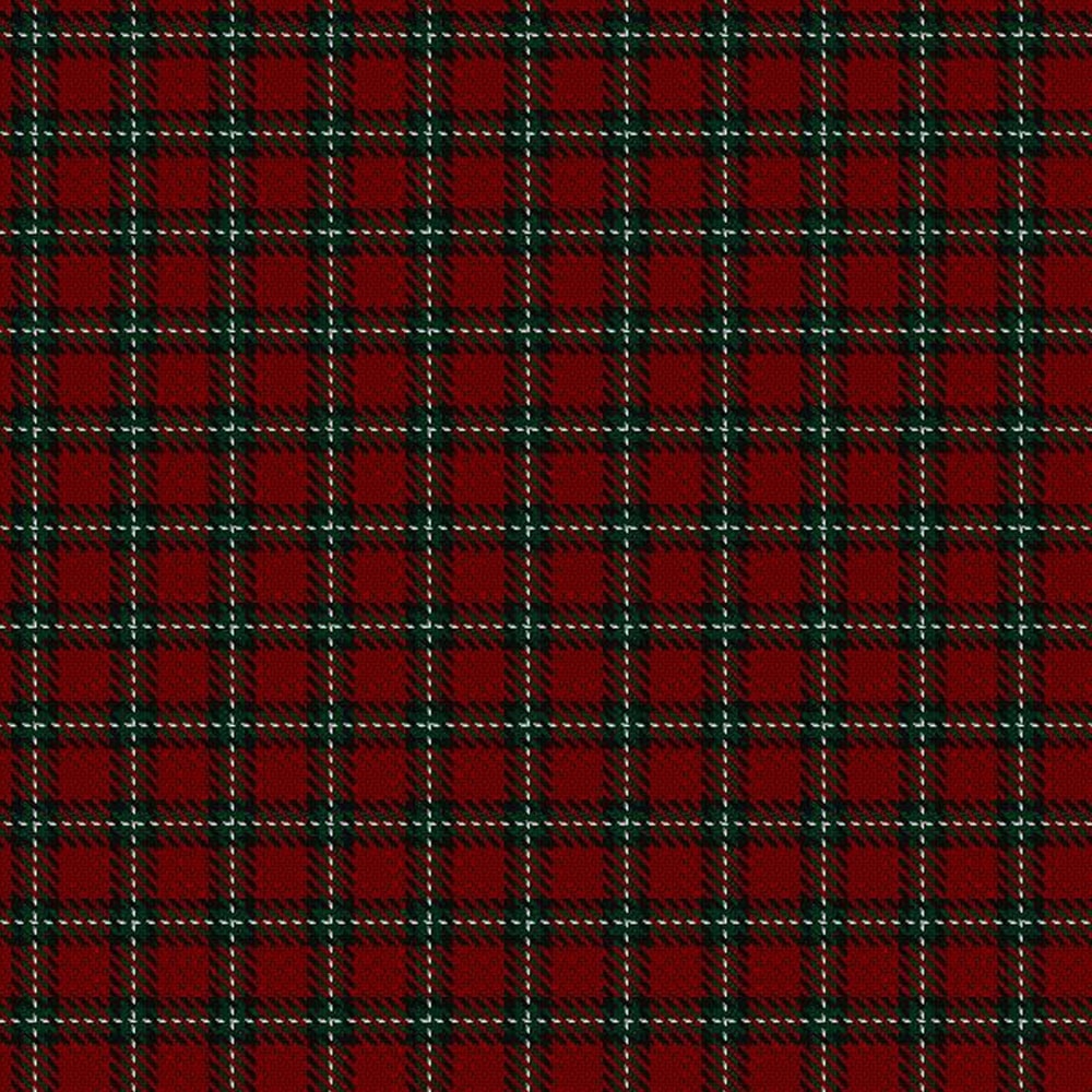 bacon red tartan.jpg