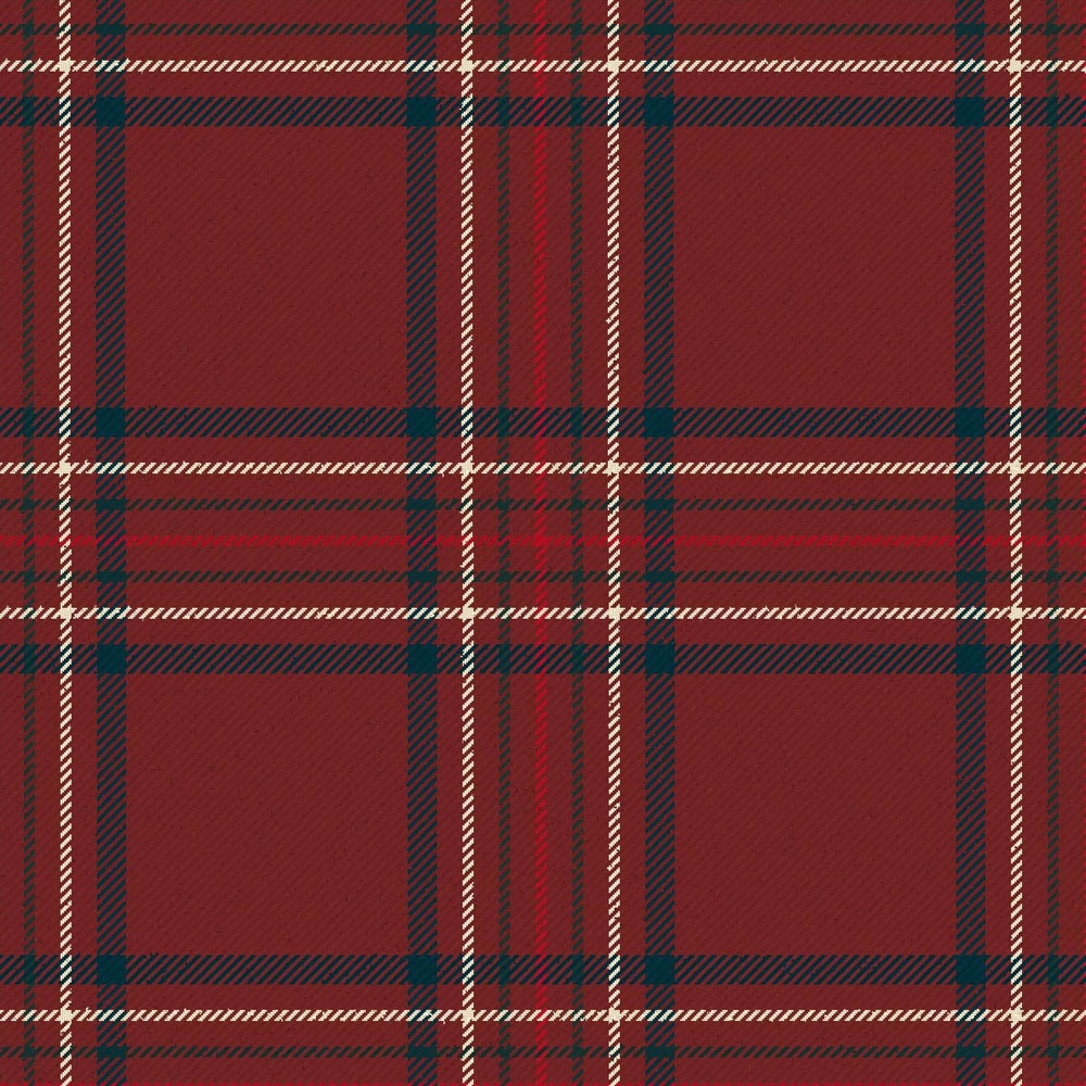 burnett hunting modern tartan.jpg