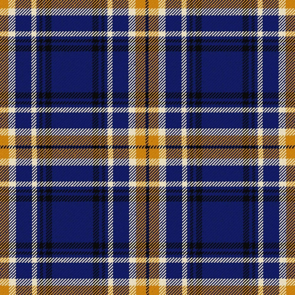 california riverside university tartan.jpg