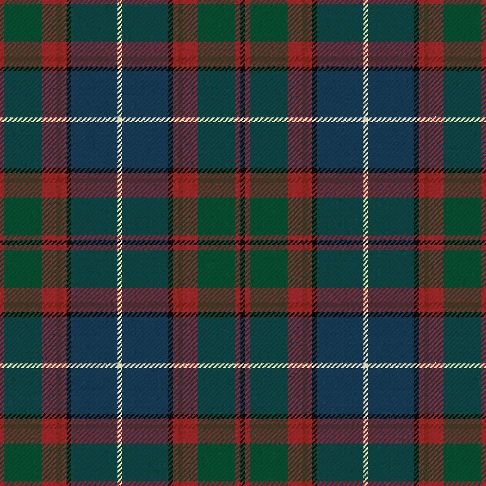 dunedin florida modern tartan.jpg