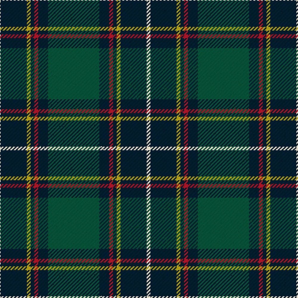 hydesville tower school modern tartan.jpg