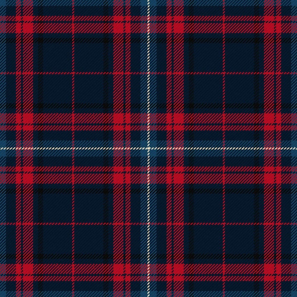 scottish north american business council tartan kilt.jpg
