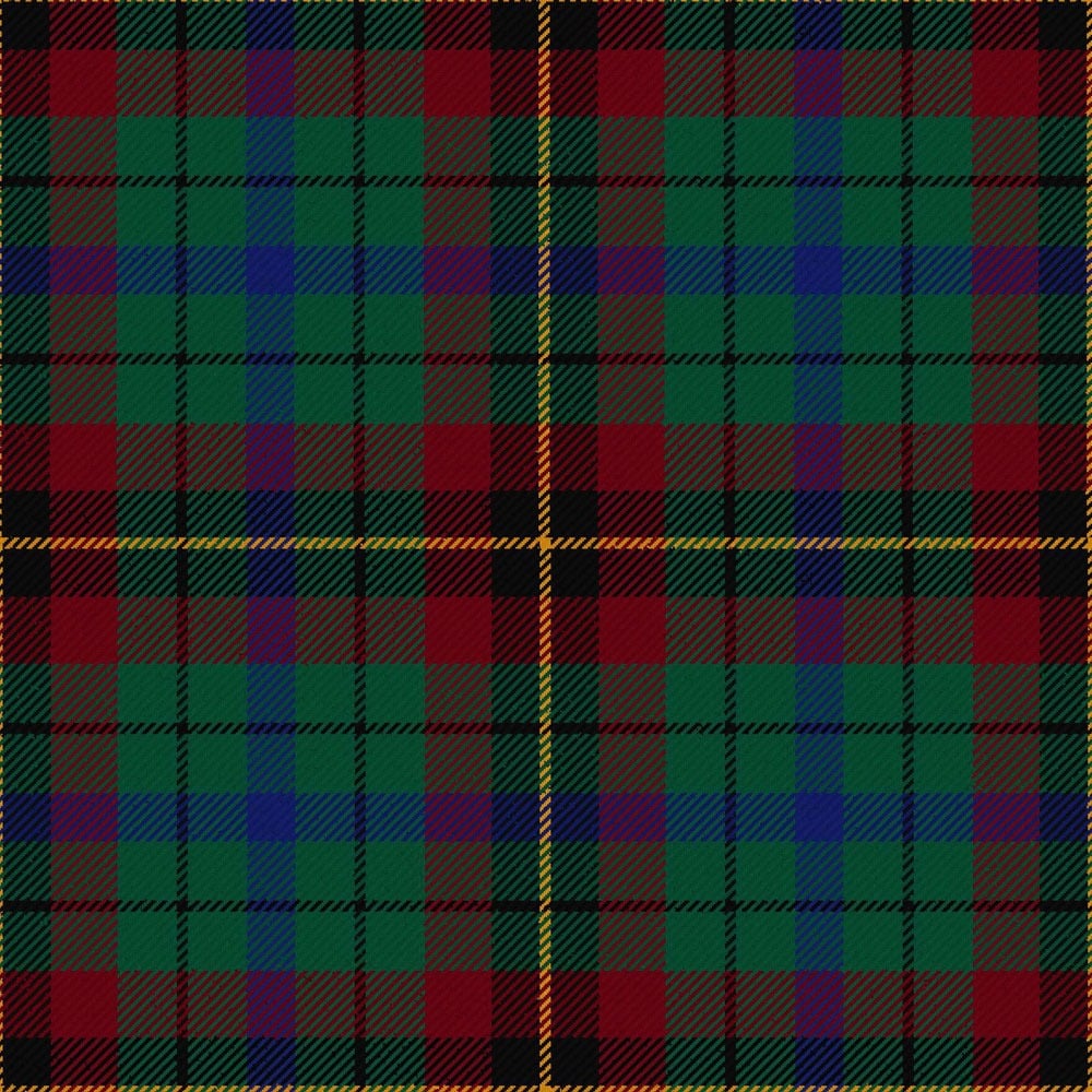 scottish parliament unofficial tartan kilt.jpg