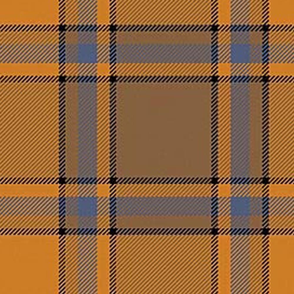 scrimgeour of glassary muted tartan kilt.jpg