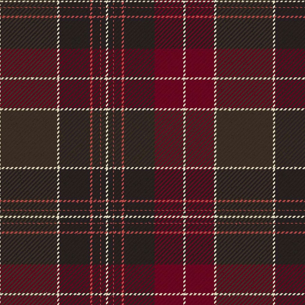 st david s brithwe dewi sant moderntartan kilt 1.jpg