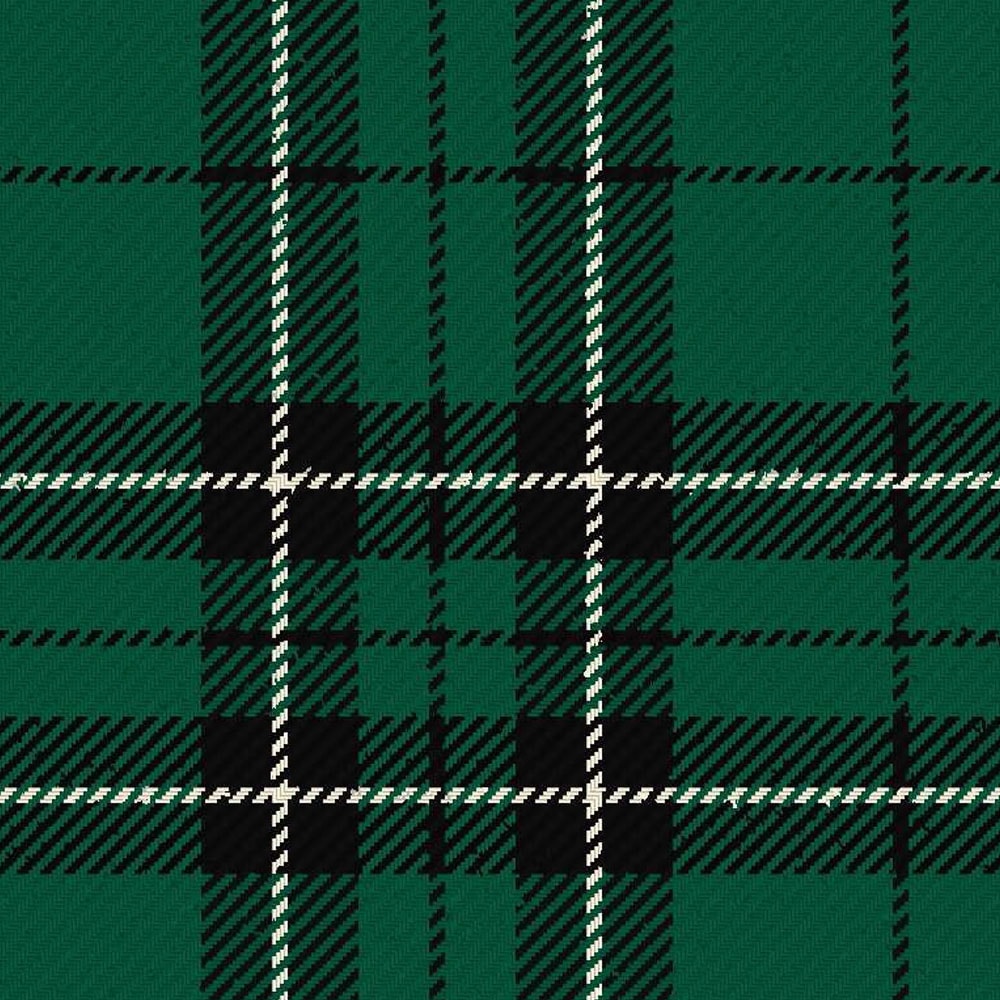 st denis cranley school ancient tartan kilt.jpg