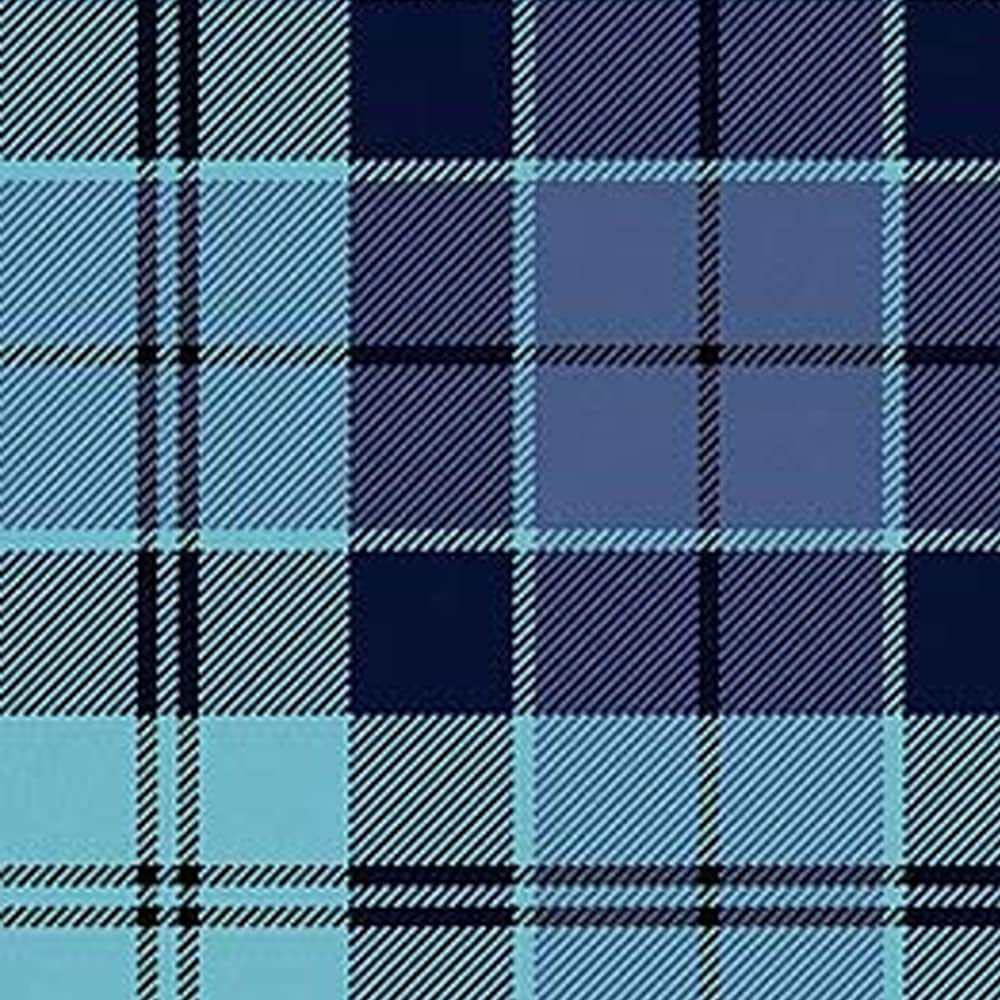 strathclyde blue tartan kilt.jpg