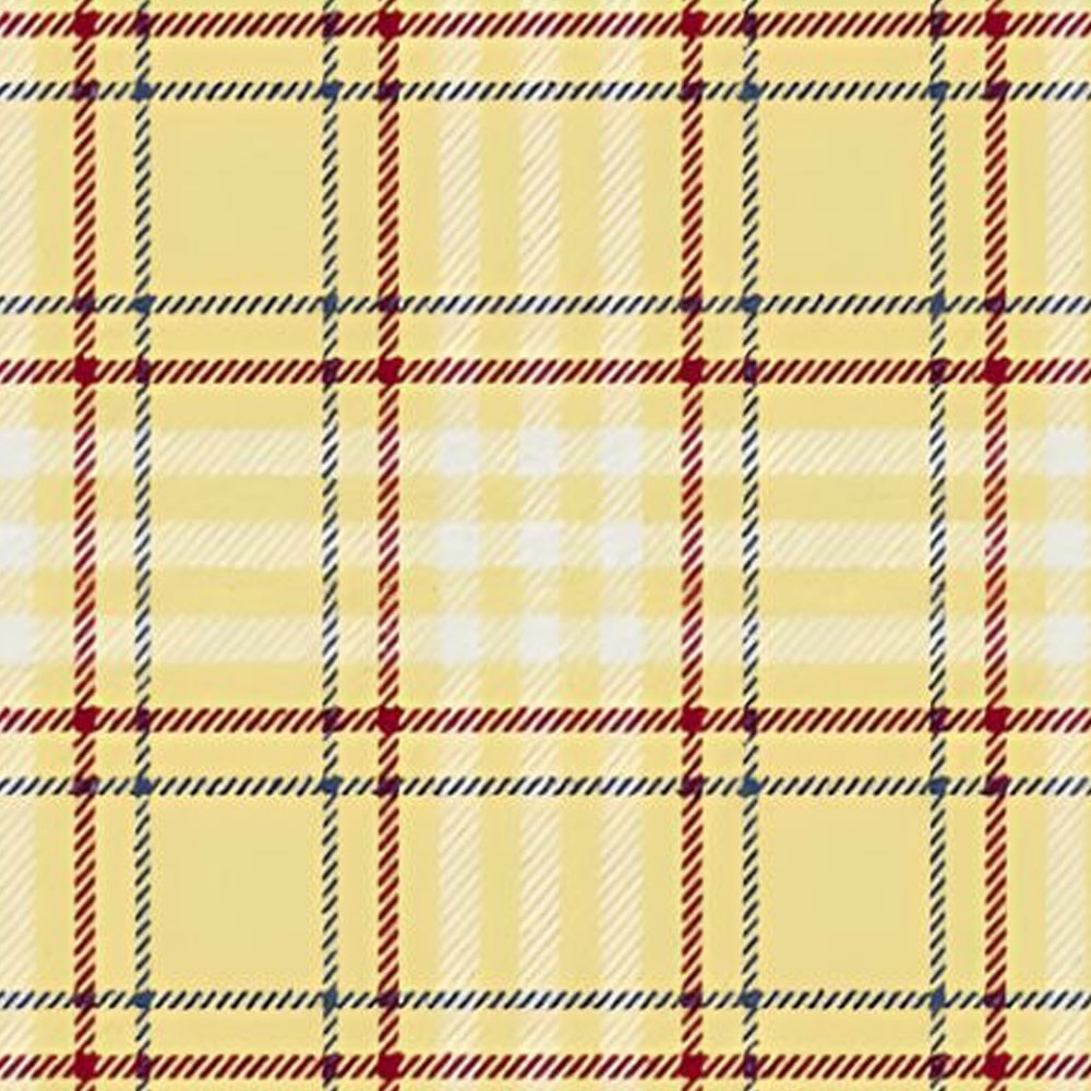 susan g komen 7 tartan.jpg