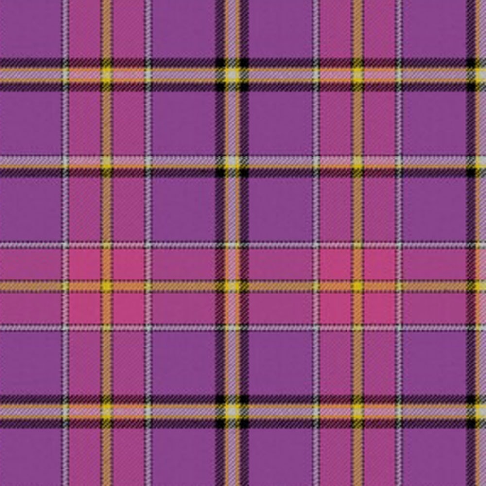 svanholm tartan.jpg