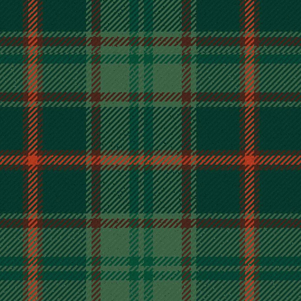 tomass tartan kilt 1.jpg