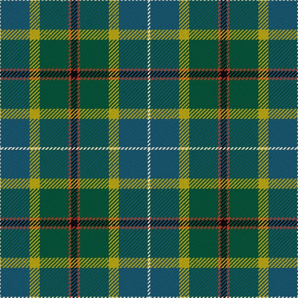 turnbull of thornton ancient tartan kilt.jpg