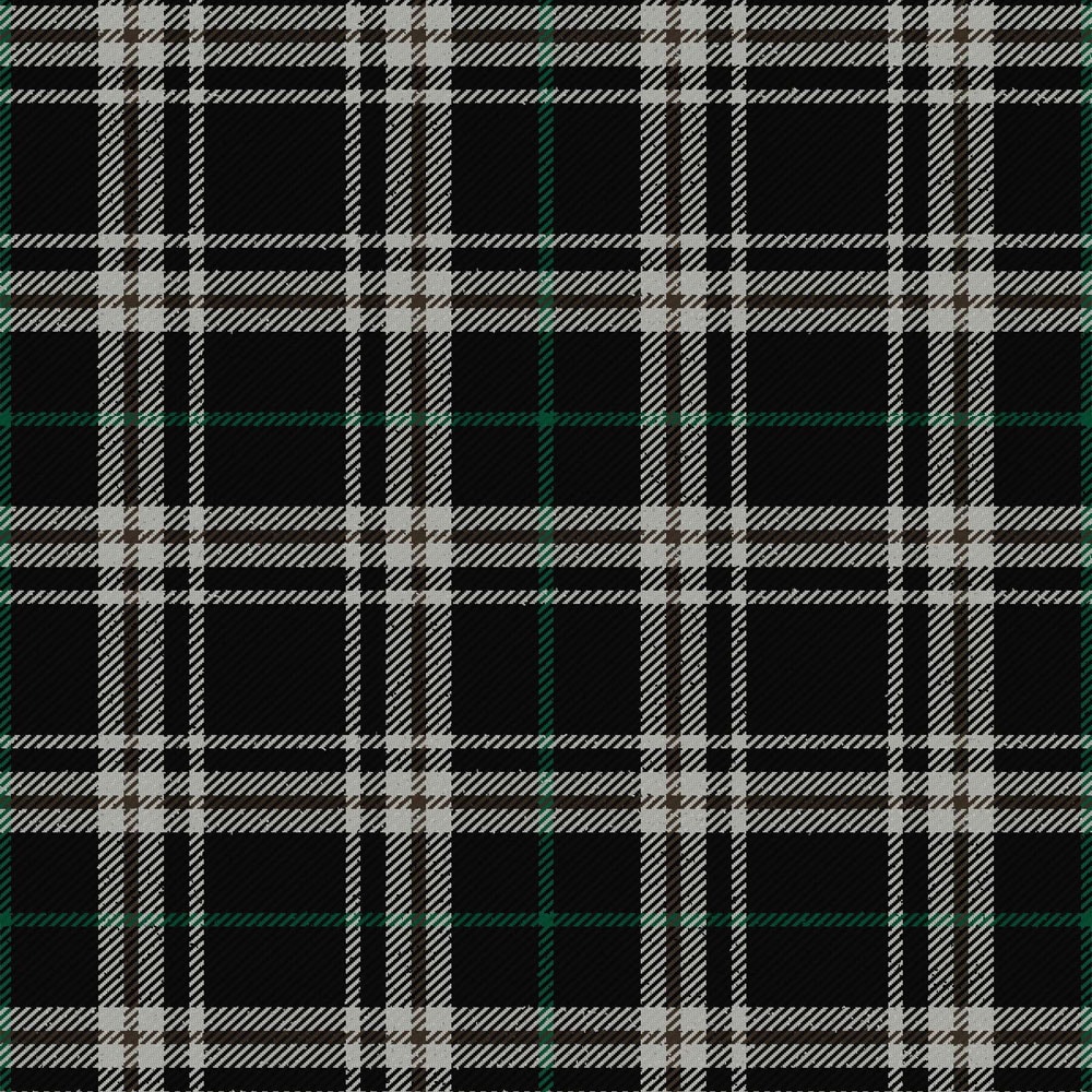 anzac modern tartan.jpg