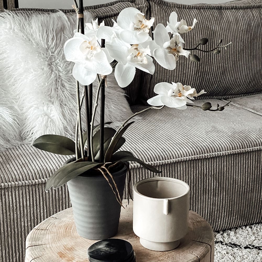 Détail de la décoration raffinée avec orchidées blanches et salon en arrière plan.